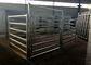 Corrosion Resistant Livestock Cattle , Cattle Corral Panels Easily Assembled
